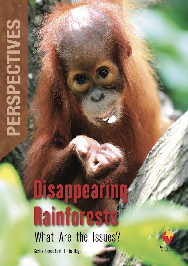 Perspectives Disappearing Rainforests: What Are the Issues?